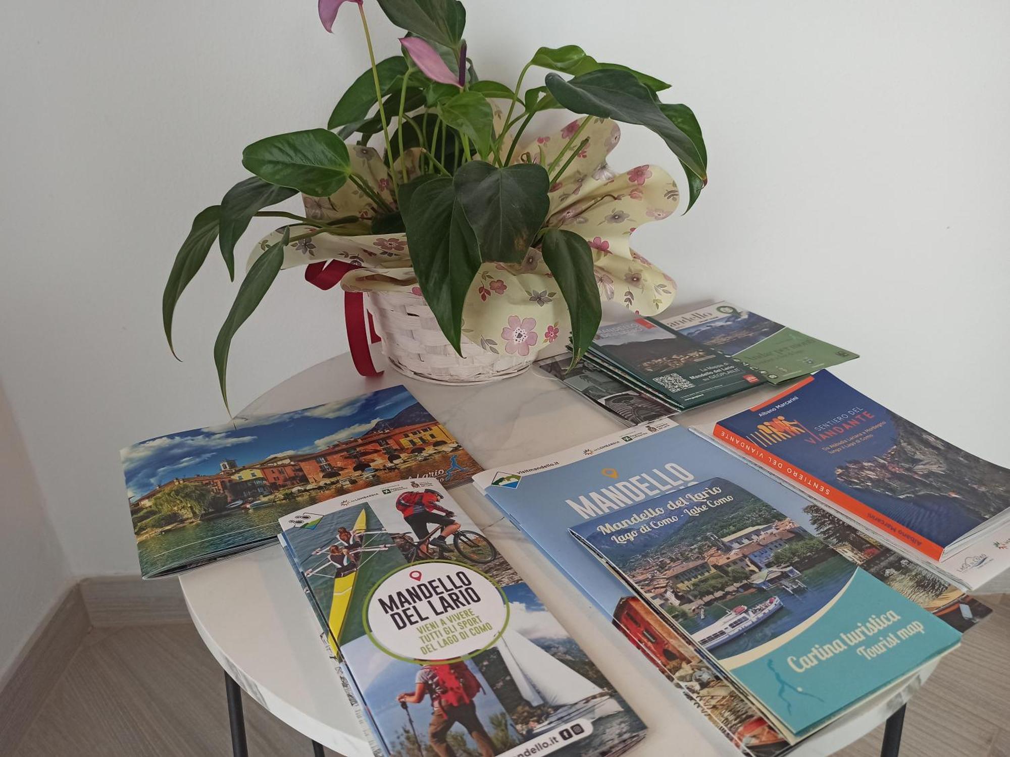 Larius Apartment - Como Lake View Mandello del Lario Zewnętrze zdjęcie