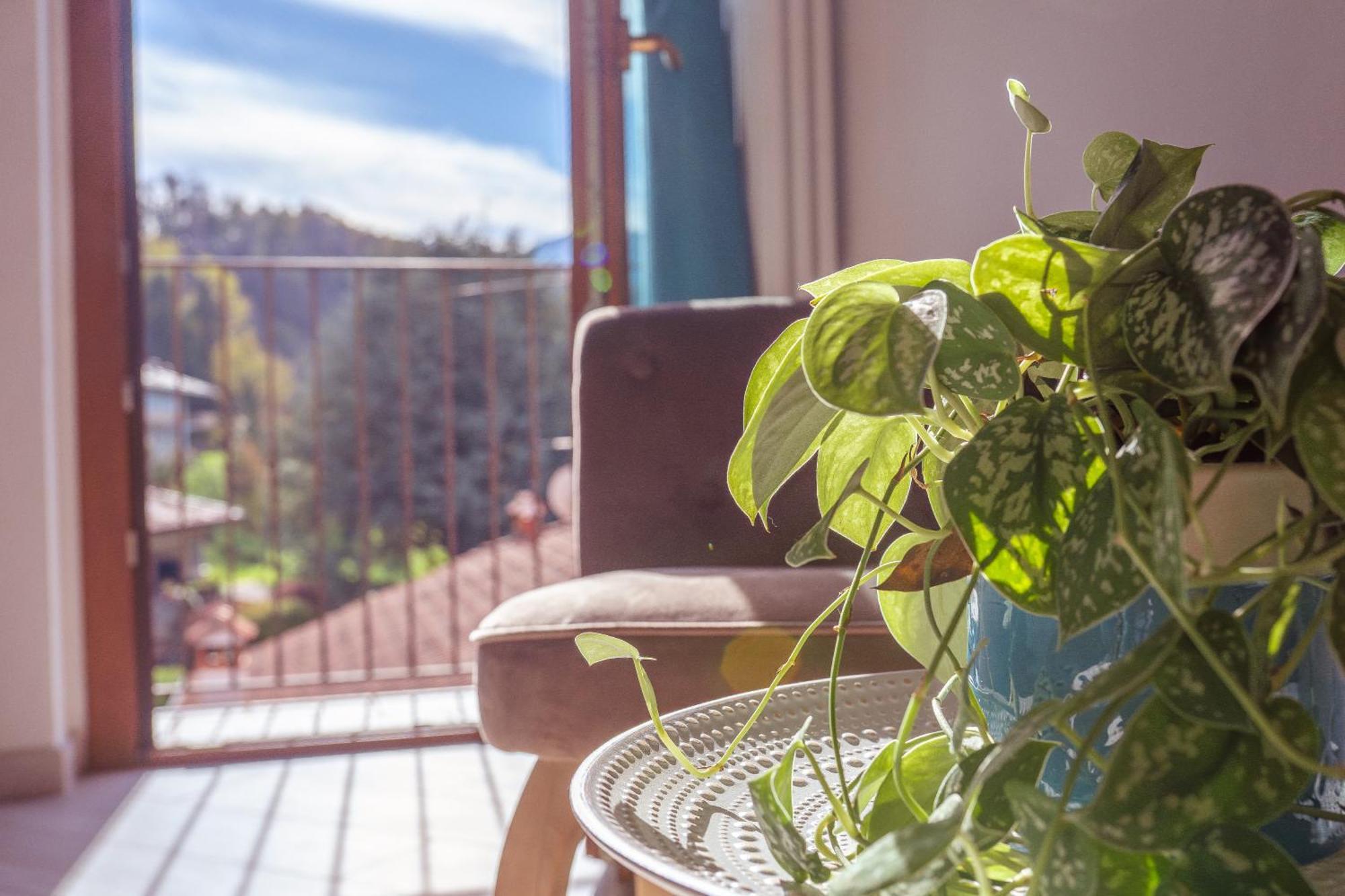 Larius Apartment - Como Lake View Mandello del Lario Zewnętrze zdjęcie